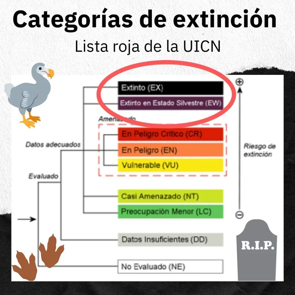Categorías para clasificar el estado de conservación de una especie según la Lista Roja de la Unión Internacional para la Conservación de la Naturaleza (UICN). 