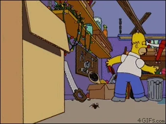 Gif Homero arañas