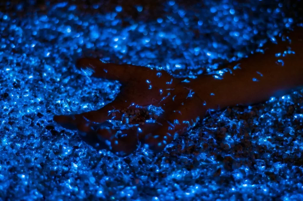 Detalle del plancton bioluminiscente.